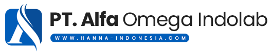 Hanna Indonesia