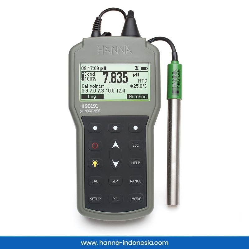 HI98191 pH/ORP/ISE Meter Hanna Instruments